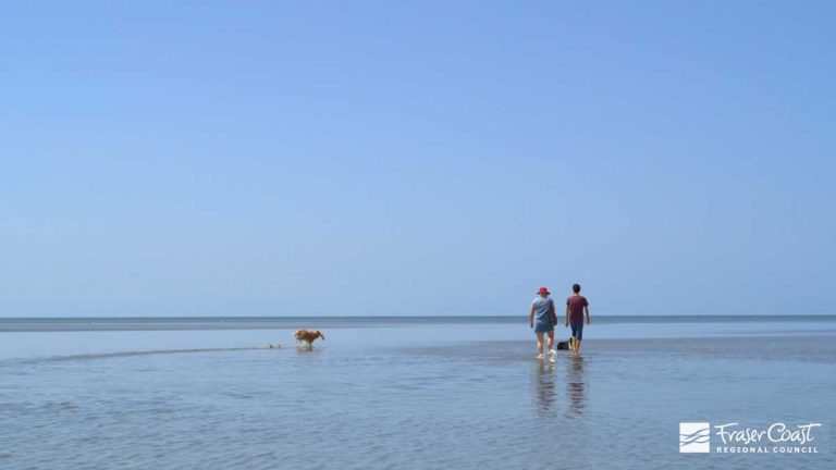 Invest Fraser Coast